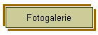 Fotogalerie